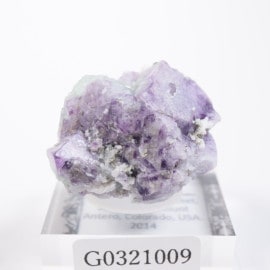 ������ɽ��� �ե����饤��