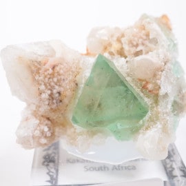 Riemvasmaak�� �ե����饤��