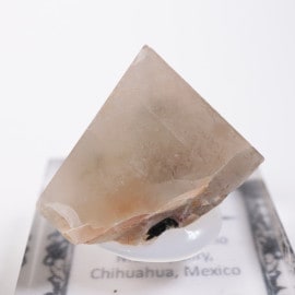 Pili�ۻ��� �ࡼ�󥹥ȡ���