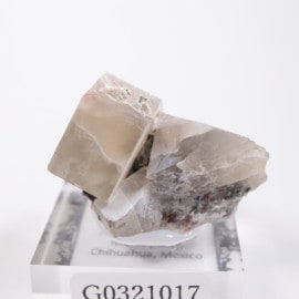 Pili�ۻ��� �ࡼ�󥹥ȡ���