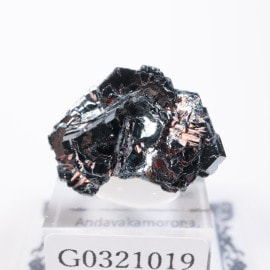 �ޥ��������뻺 �إޥ����ȥ������ʥ��������������