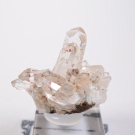 �����󥴹ۻ��� ��������