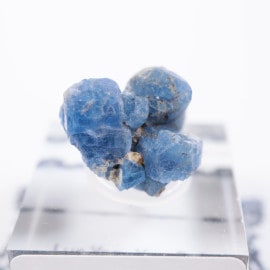 �٥ȥʥ໺ ���ԥͥ�