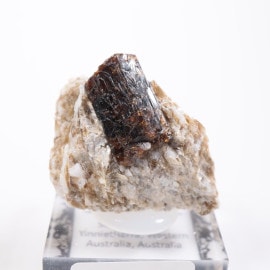 �������ȥ�ꥢ�� �ɥ�Х��ȥȥ�ޥ��