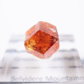 �С����Ƚ� ��������顼�����ͥå�