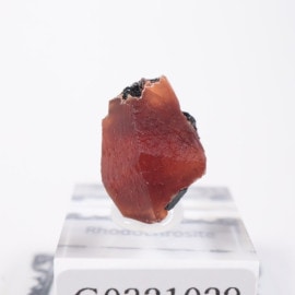 �ڥ롼�� �����ɥ���������