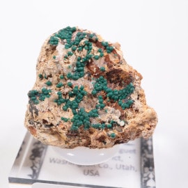 �楿�� �ޥ饫����