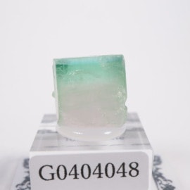 ���ե��˥����� �ȥ�ޥ��