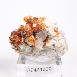 Tongbei�� ���ڥ���ƥ���