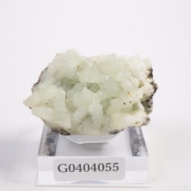 ����å��� �ץ�ʥ���