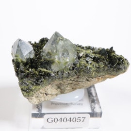 �ȥ륳�� ���ԥɡ��ȡ���������