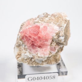 ��� �����ɥ���������