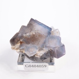 ����ʻ� �ե����饤��