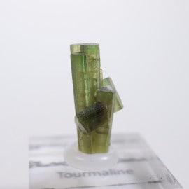 �֥饸�뻺 �ȥ�ޥ��