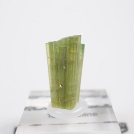 �֥饸�뻺 �ȥ�ޥ��