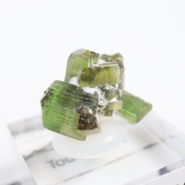 �֥饸�뻺 �ȥ�ޥ��