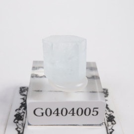 �ѥ������� �٥��