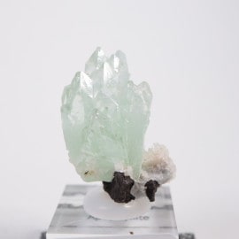 ����ɻ� ���ݥե��饤��