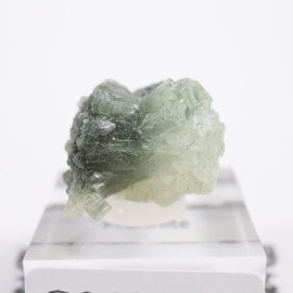 ����å��� �ץ�ʥ���