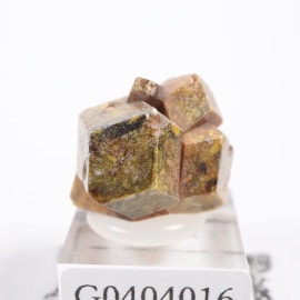 �ޥ껺 �����ͥå�