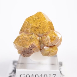 �ޥ껺 �����ͥå�