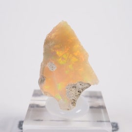 �������ԥ��� ���ѡ���