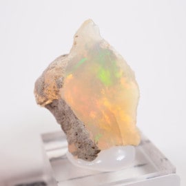 �������ԥ��� ���ѡ���