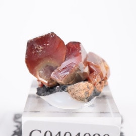 ����å��� �Хʥǥ��ʥ���