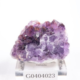 ���ʥ��� ���᥷����with�إޥ�����