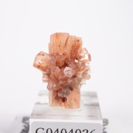 ����å��� ���饴�ʥ���