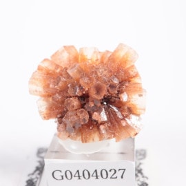 ����å��� ���饴�ʥ���