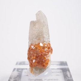 ʡ���ʻ� ���ڥ���ƥ��󥬡��ͥå�