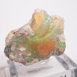 �������ԥ��� ���ѡ���