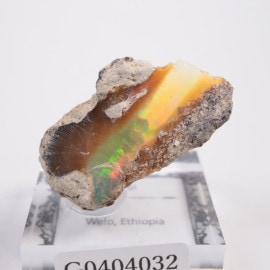 �������ԥ��� ���ѡ���