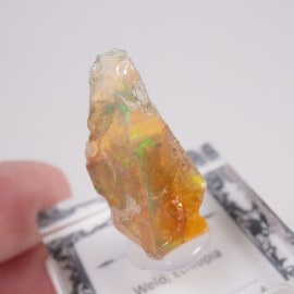 �������ԥ��� ���ѡ���