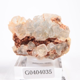 ���ڥ��� �ե����饤��