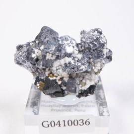 �ڥ롼�� �����