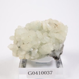 ����å��� �ץ�ʥ���