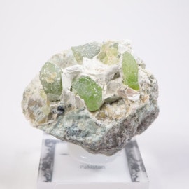 �ѥ������� �������ץ�����