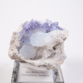 �ᥭ������ �ե����饤�ȡ����륻�ɥˡ�