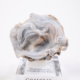 �֥饸�뻺 ���륻�ɥˡ������� (��������)