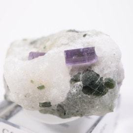 ���ե��˥����� ������ݥ饤��