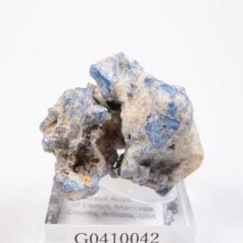 ���꥾�ʽ� �饺�饤��