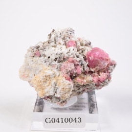 �ᥭ������ ��������顼�����ͥå�