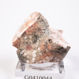 �ߥ����� �ȥॽ�ʥ���