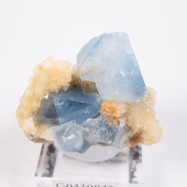 ���ե��˥����� ���쥹�ƥ��󡢥��륵����