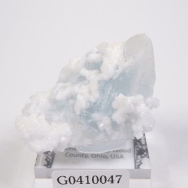 ���ϥ����� ���쥹�ƥ��󡢥��ȥ�������ʥ���