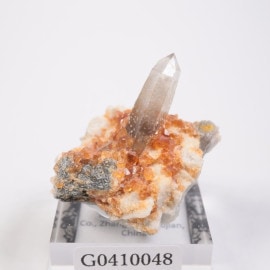 ʡ���ʻ� ���ڥ���ƥ��󥬡��ͥå�