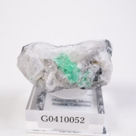 Muzo�ۻ� �������