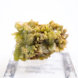 Daoping�ۻ��� �ѥ������ե�����